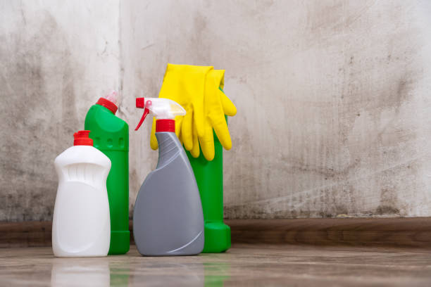 Why You Should Choose Our Mold Remediation Services in Bowleys Quarters, MD